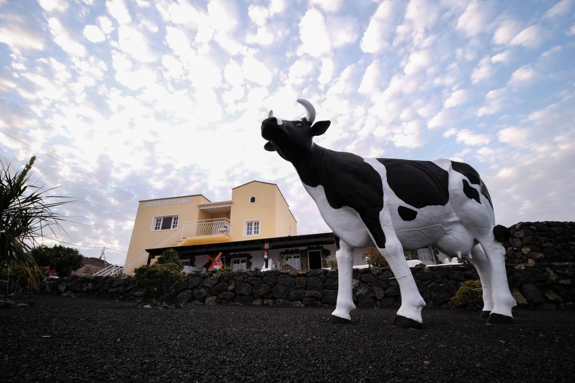 Club Jm Lanzarote Guest House Tabayesco Exterior photo